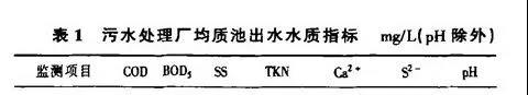 MBBR工藝處理化工廢水實例解析